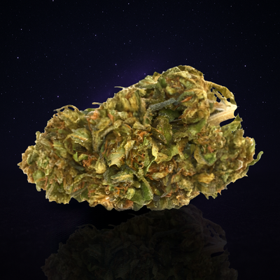 BUBBLEGUM (Glasshouse)