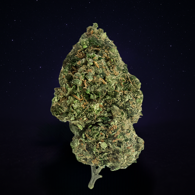 CRITICAL 2.0 (Indoor)