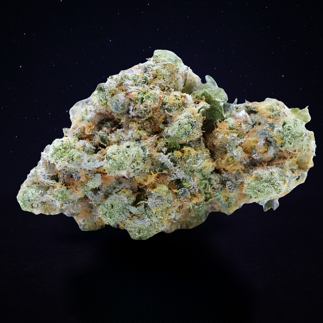 DREAMBERRY (Glasshouse)