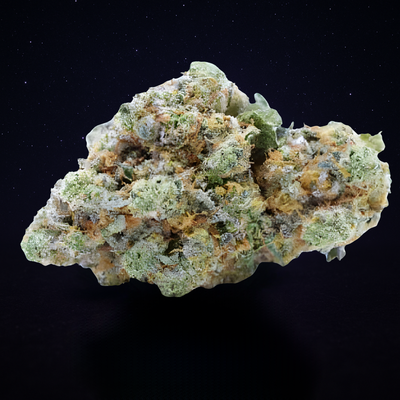 DREAMBERRY (Glasshouse)