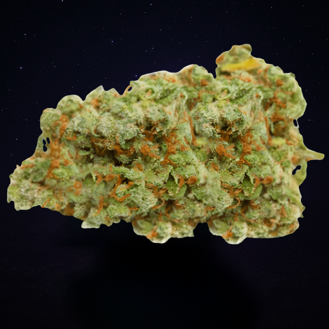 GIRL SCOOT COOKIES (Indoor)