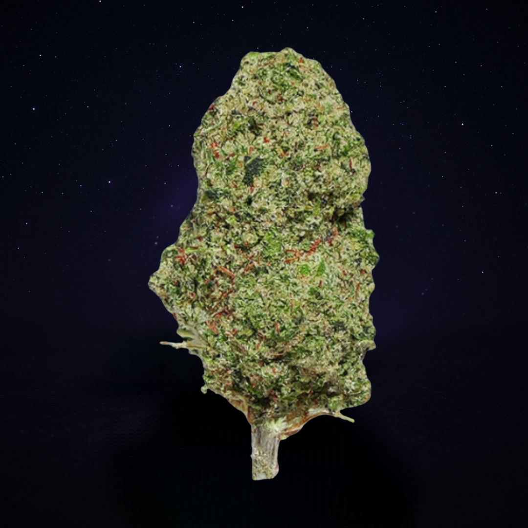 GORILLA GLUE (Indoor)