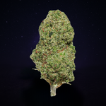 GORILLA GLUE (Indoor)