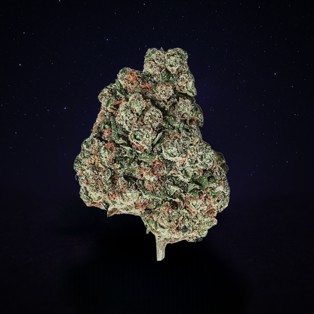 L.A CALI (CALIFORNIA GENETICS) (Indoor)