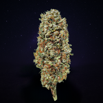 LEMON HAZE 2.0 (Glasshouse)