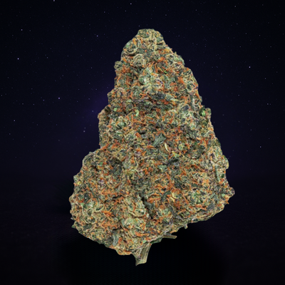 PURPLE HAZE (Indoor)