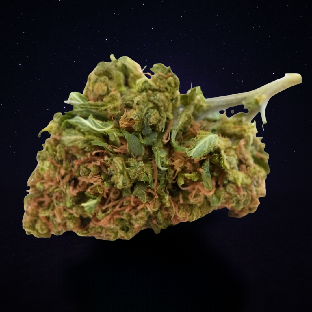 SMALLBERRY (Small bud)