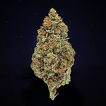 STRAWBERRY (Glasshouse)