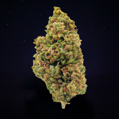 SUPER LEMON (Glasshouse)