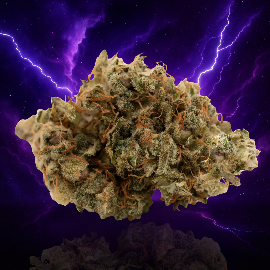 SHOUR SHERBET TH-X (Indoor)