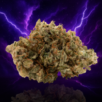 SHOUR SHERBET TH-X (Indoor)