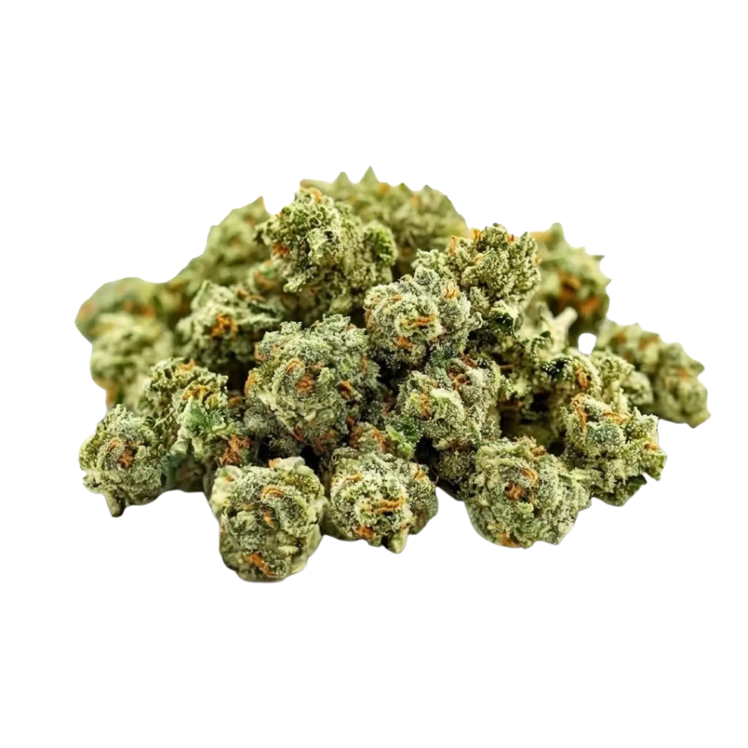 Gelato (small bud)