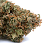 AMNESIA 2.0 TH-X (Indoor)