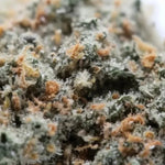 OG Kush (indoor)