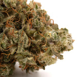 SHOUR SHERBET TH-X (Indoor)